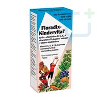 DIETPHARM Floradix Kindervital tonik 250 ml